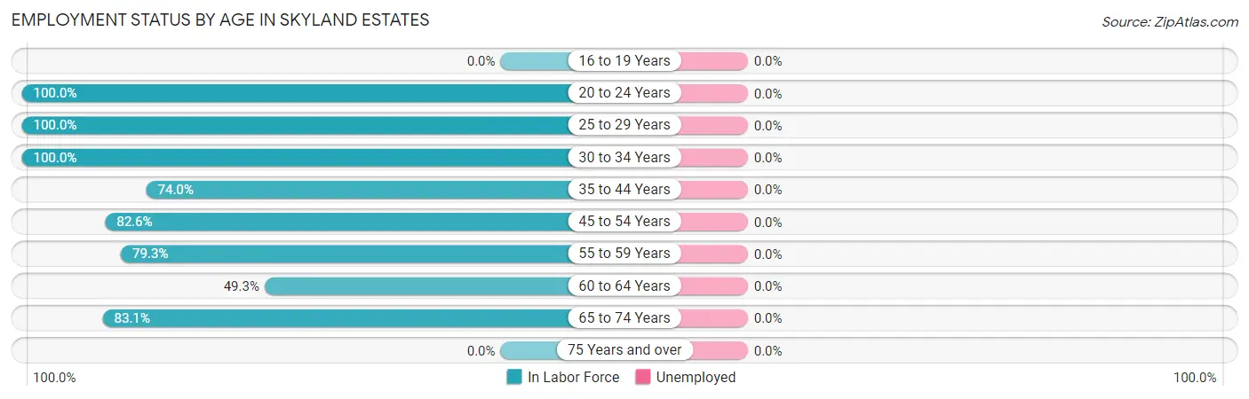 Employment Status by Age in Skyland Estates