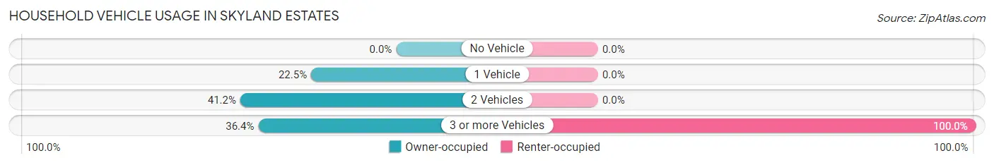 Household Vehicle Usage in Skyland Estates