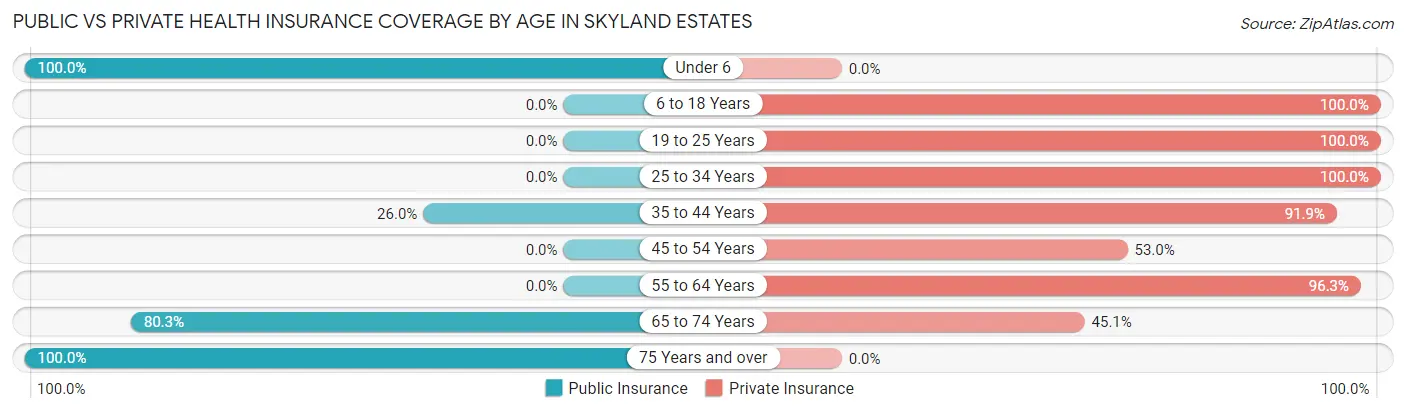 Public vs Private Health Insurance Coverage by Age in Skyland Estates