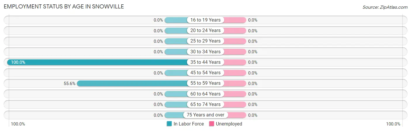 Employment Status by Age in Snowville