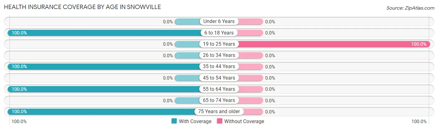 Health Insurance Coverage by Age in Snowville
