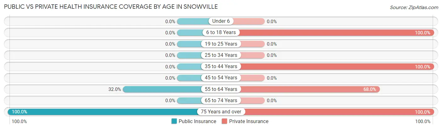 Public vs Private Health Insurance Coverage by Age in Snowville
