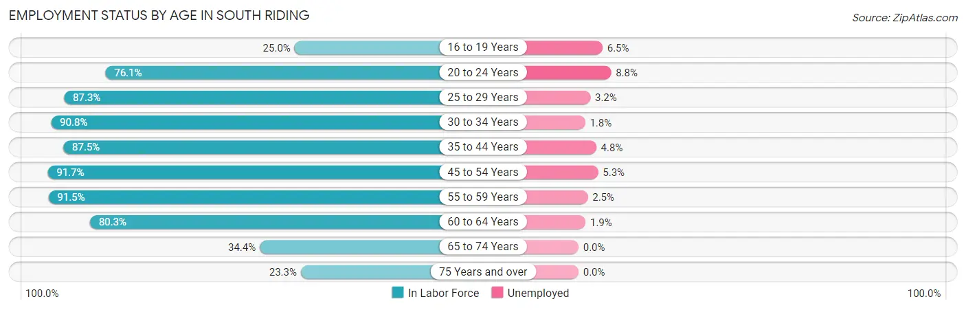 Employment Status by Age in South Riding