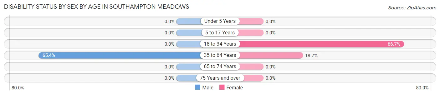 Disability Status by Sex by Age in Southampton Meadows