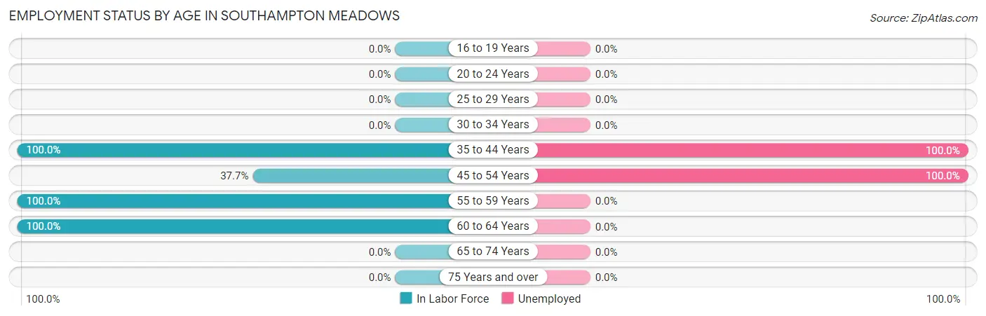 Employment Status by Age in Southampton Meadows
