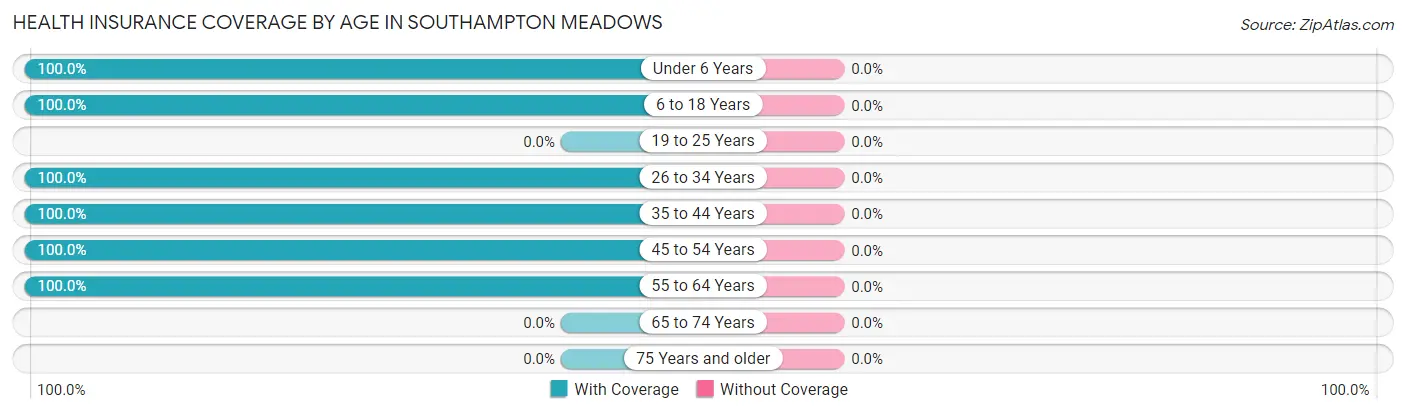 Health Insurance Coverage by Age in Southampton Meadows