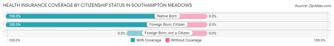 Health Insurance Coverage by Citizenship Status in Southampton Meadows