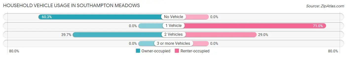 Household Vehicle Usage in Southampton Meadows