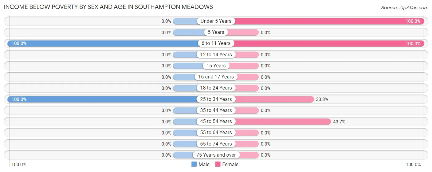Income Below Poverty by Sex and Age in Southampton Meadows