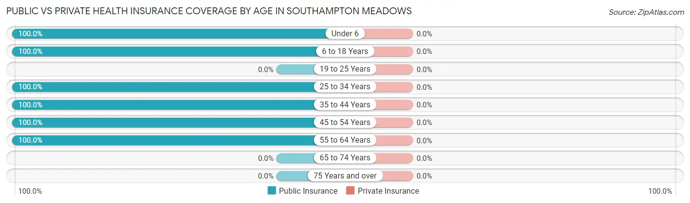 Public vs Private Health Insurance Coverage by Age in Southampton Meadows