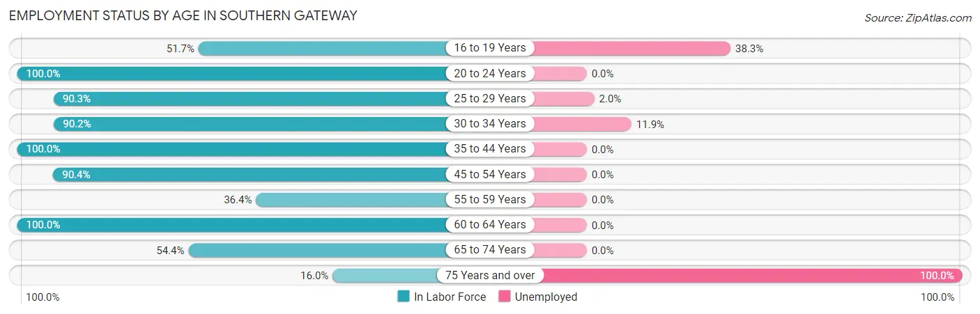 Employment Status by Age in Southern Gateway