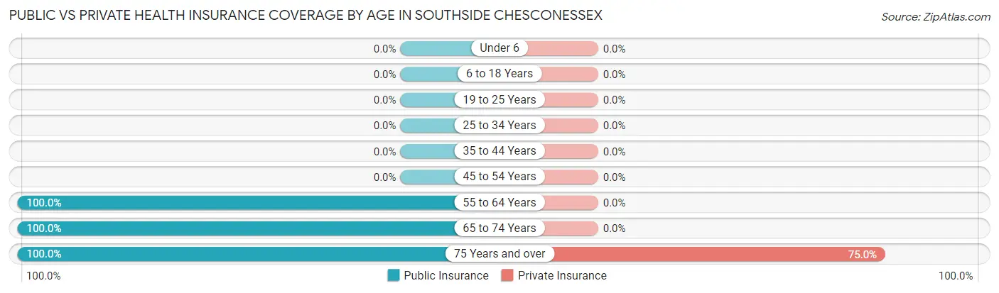 Public vs Private Health Insurance Coverage by Age in Southside Chesconessex