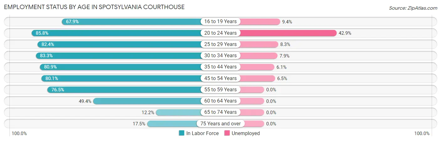 Employment Status by Age in Spotsylvania Courthouse