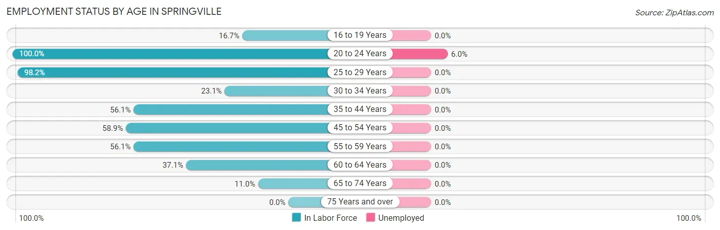Employment Status by Age in Springville