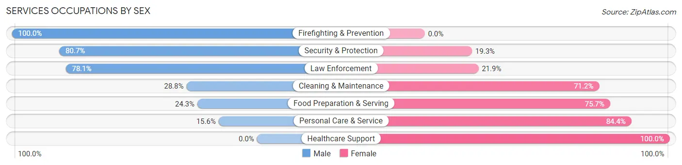 Services Occupations by Sex in Stuarts Draft