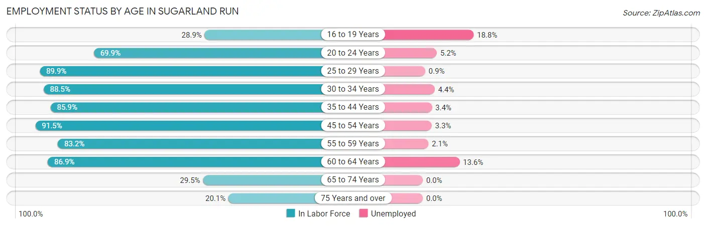 Employment Status by Age in Sugarland Run