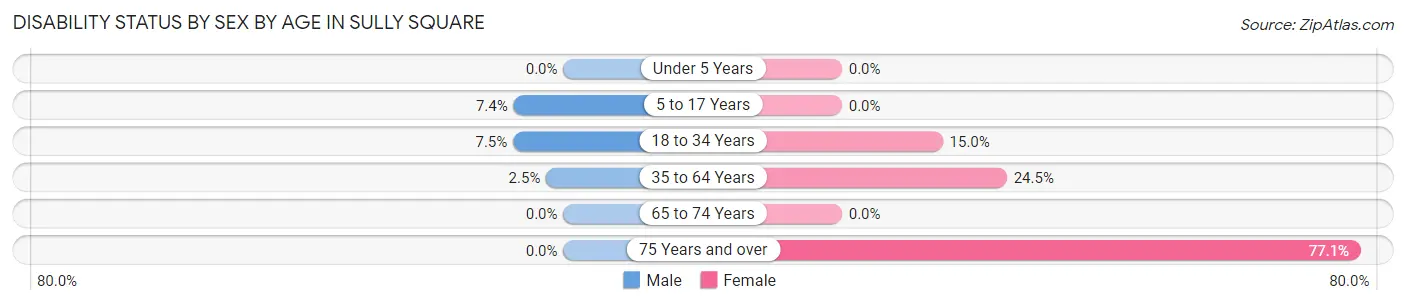 Disability Status by Sex by Age in Sully Square
