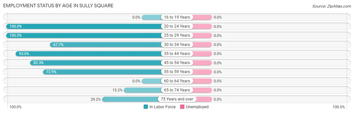 Employment Status by Age in Sully Square