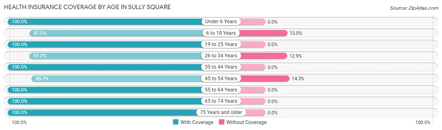 Health Insurance Coverage by Age in Sully Square
