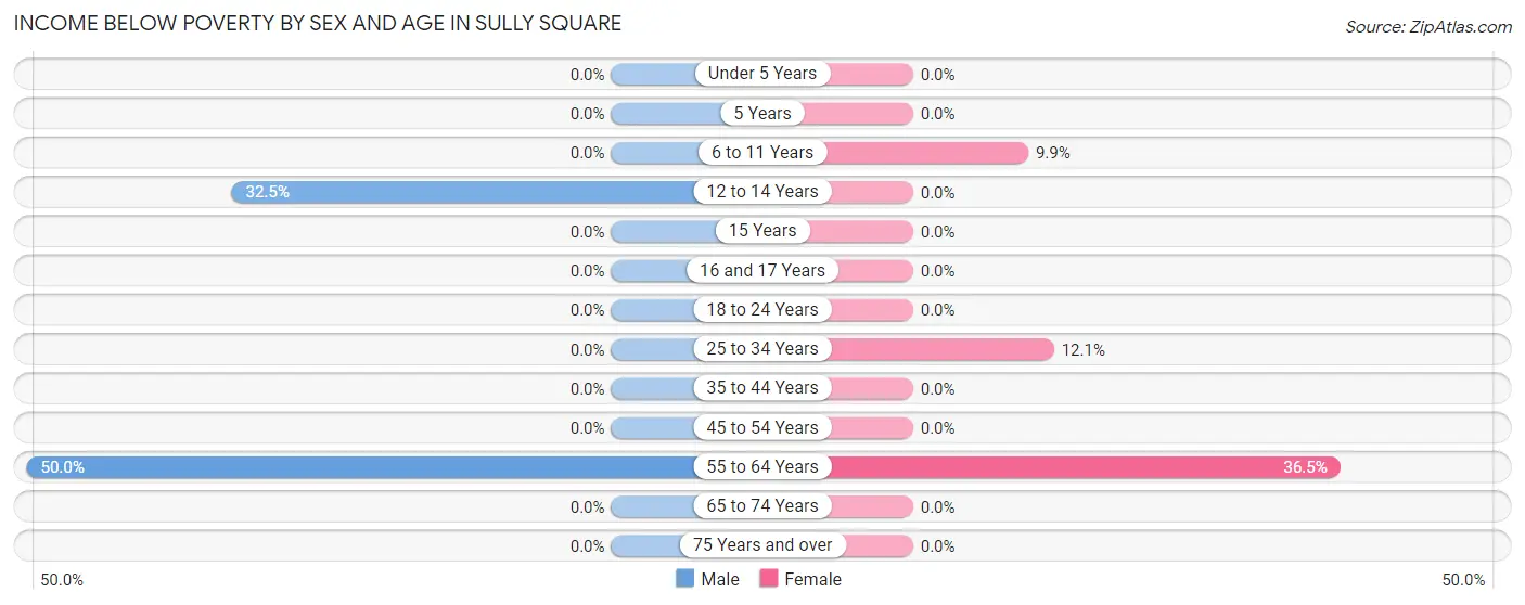 Income Below Poverty by Sex and Age in Sully Square