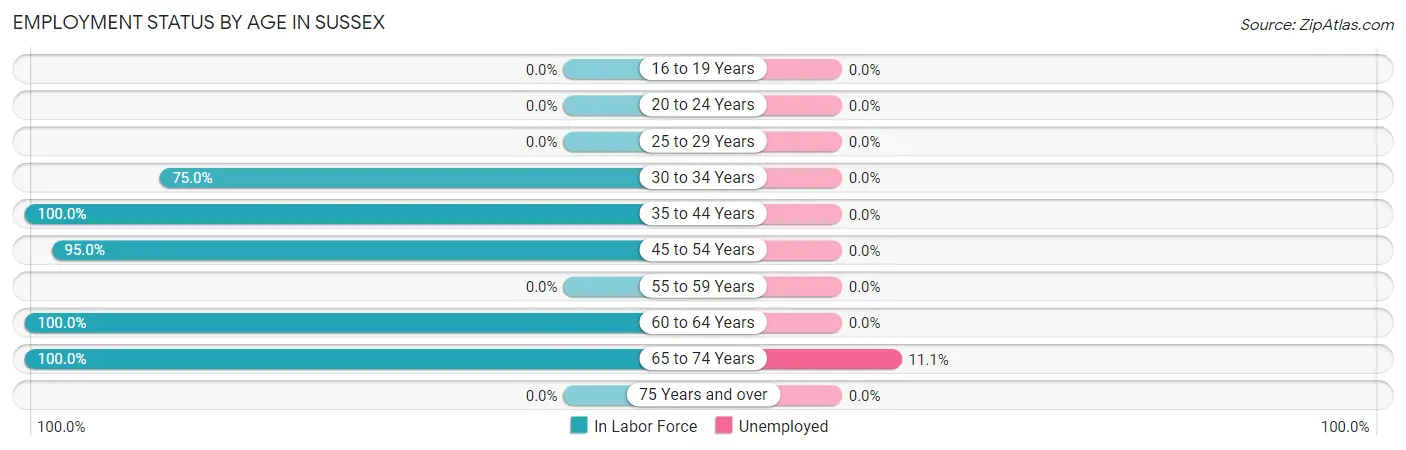 Employment Status by Age in Sussex