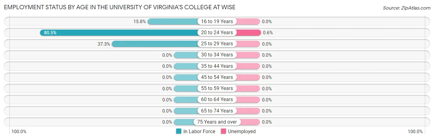 Employment Status by Age in The University of Virginia's College at Wise