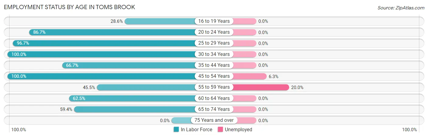 Employment Status by Age in Toms Brook