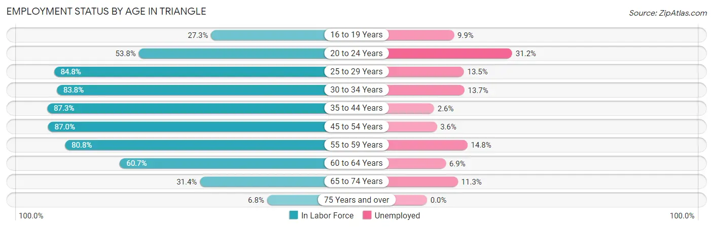 Employment Status by Age in Triangle
