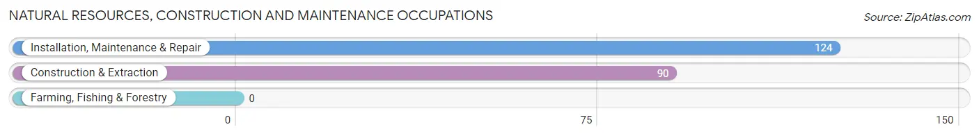 Natural Resources, Construction and Maintenance Occupations in Twin Lakes