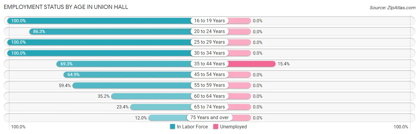 Employment Status by Age in Union Hall
