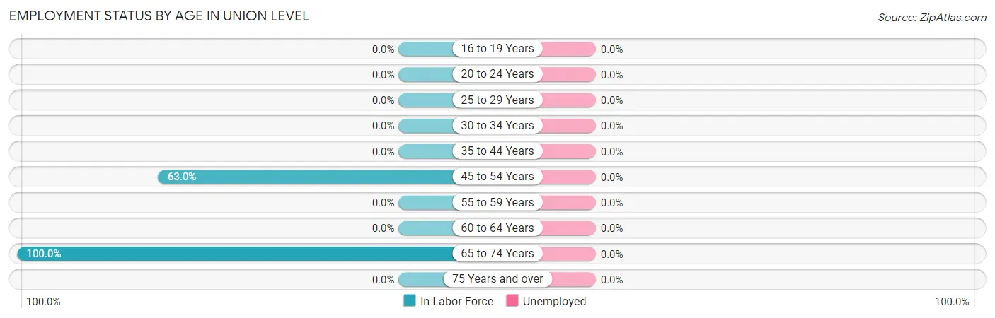 Employment Status by Age in Union Level