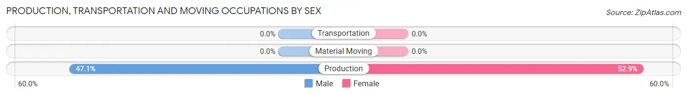 Production, Transportation and Moving Occupations by Sex in Union Level