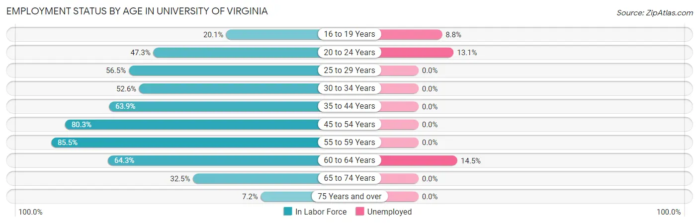 Employment Status by Age in University of Virginia