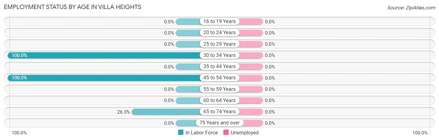 Employment Status by Age in Villa Heights
