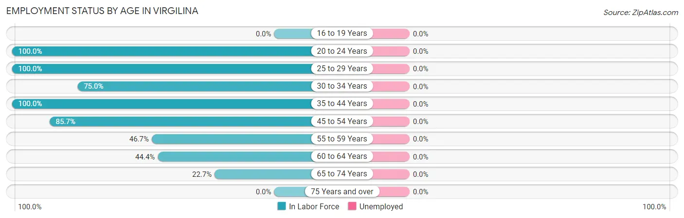 Employment Status by Age in Virgilina