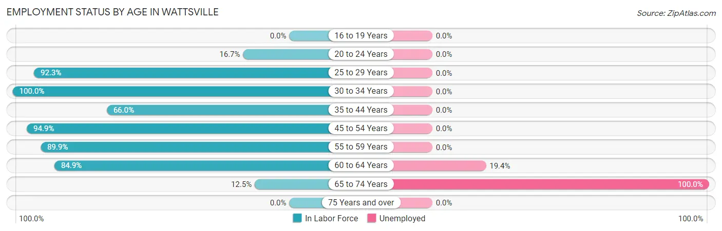 Employment Status by Age in Wattsville