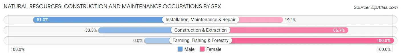 Natural Resources, Construction and Maintenance Occupations by Sex in Weber City