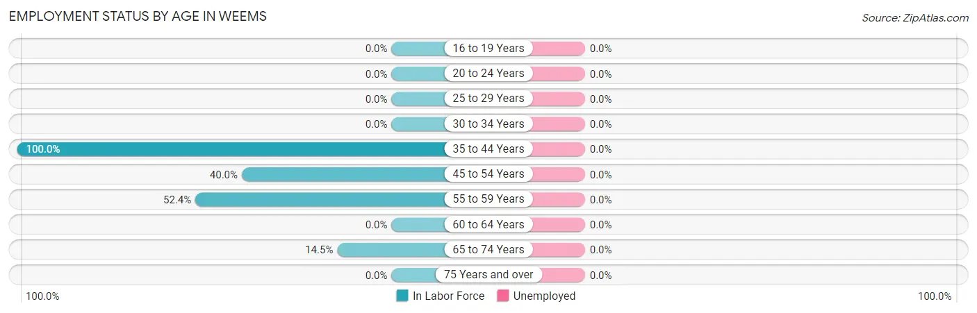 Employment Status by Age in Weems