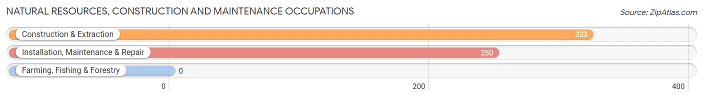 Natural Resources, Construction and Maintenance Occupations in West Springfield