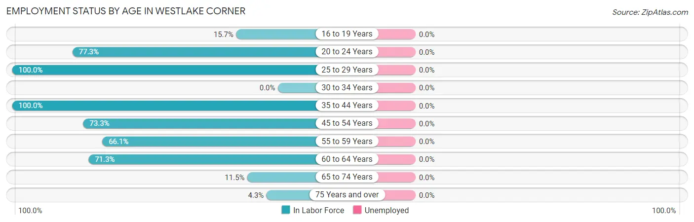 Employment Status by Age in Westlake Corner