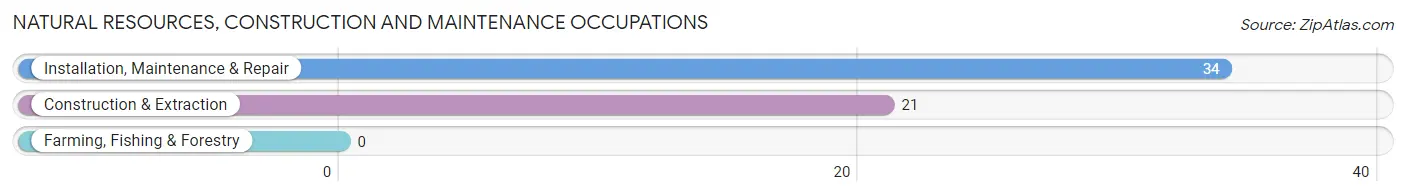 Natural Resources, Construction and Maintenance Occupations in Westlake Corner