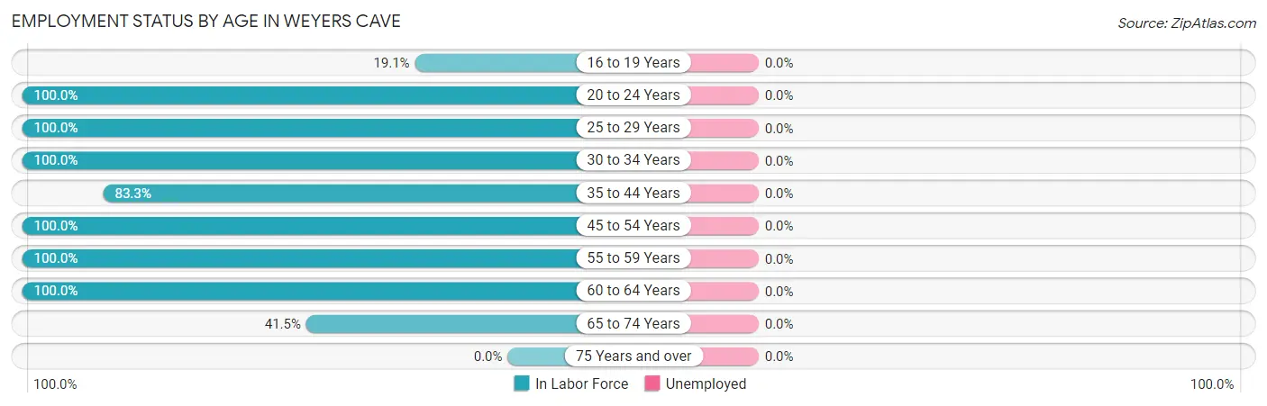 Employment Status by Age in Weyers Cave