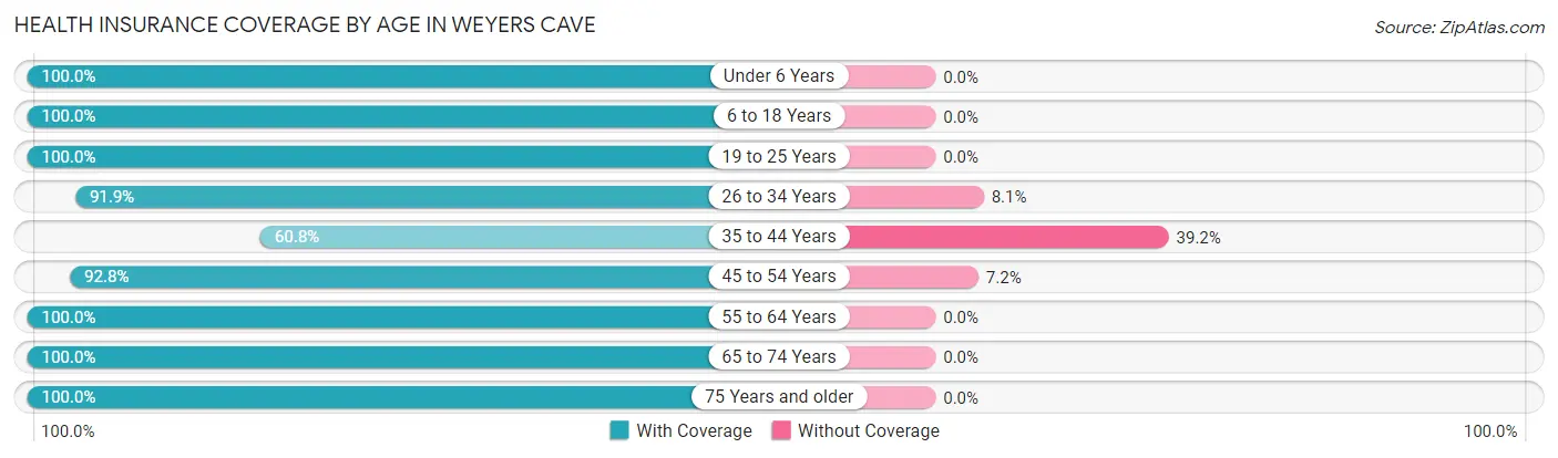 Health Insurance Coverage by Age in Weyers Cave
