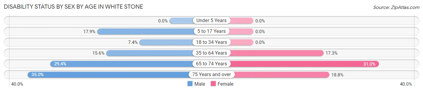 Disability Status by Sex by Age in White Stone