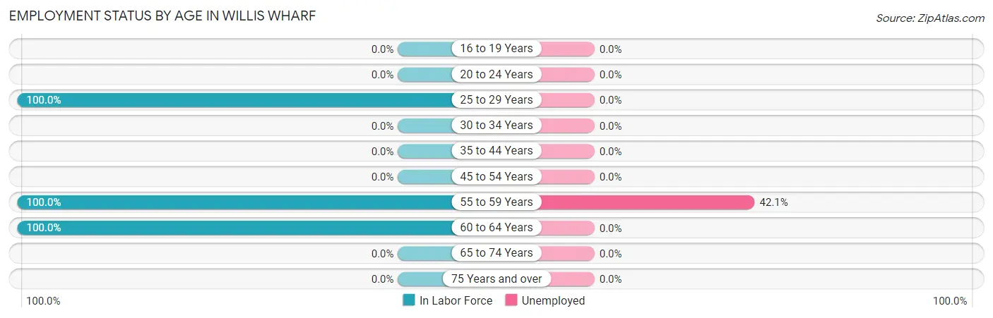 Employment Status by Age in Willis Wharf