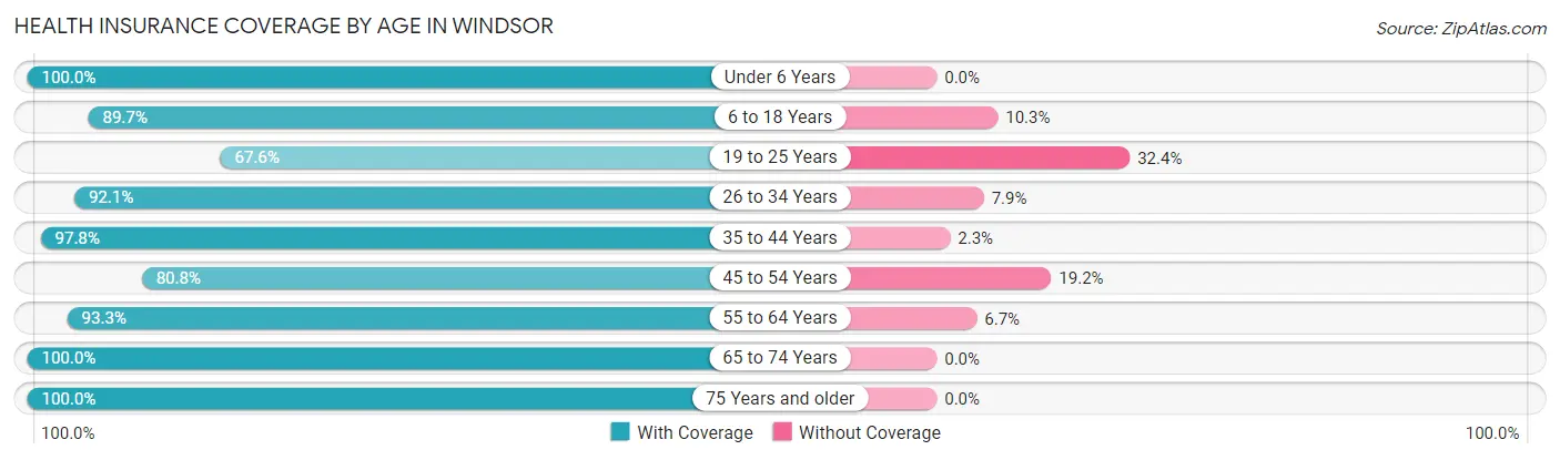 Health Insurance Coverage by Age in Windsor