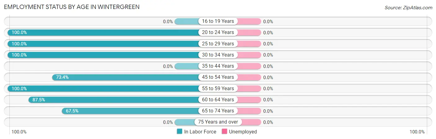 Employment Status by Age in Wintergreen