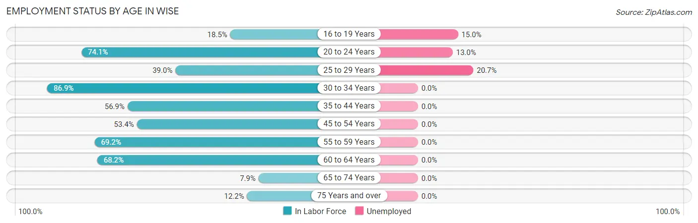 Employment Status by Age in Wise