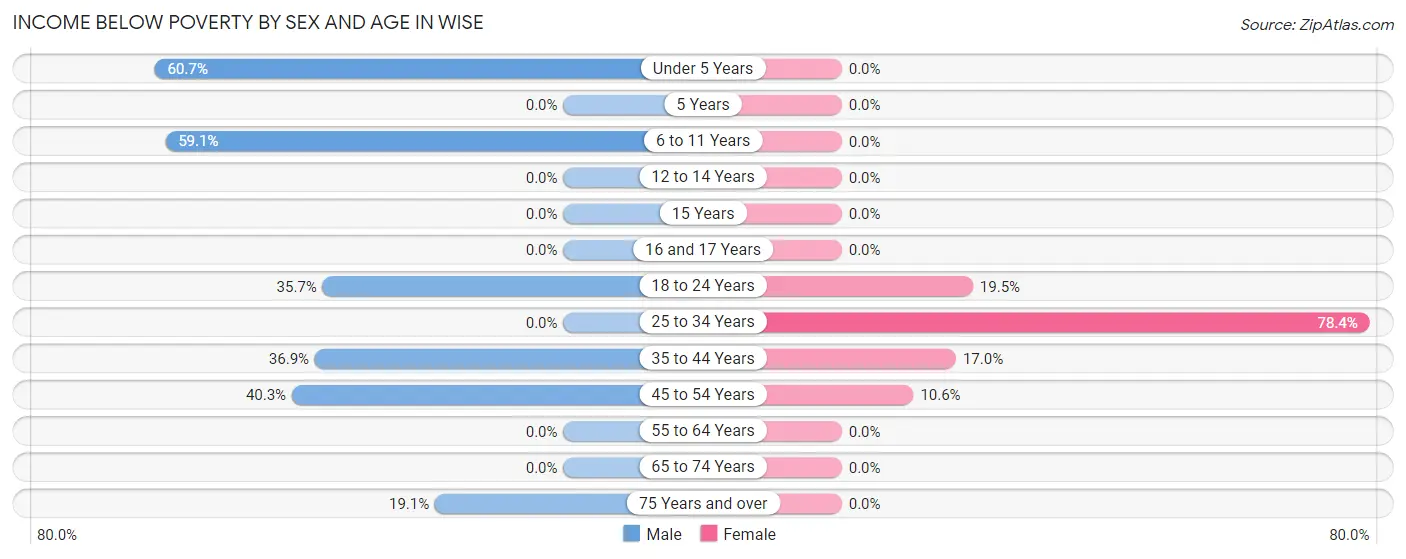 Income Below Poverty by Sex and Age in Wise