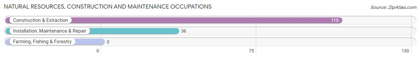 Natural Resources, Construction and Maintenance Occupations in Woodlawn CDP Carroll County